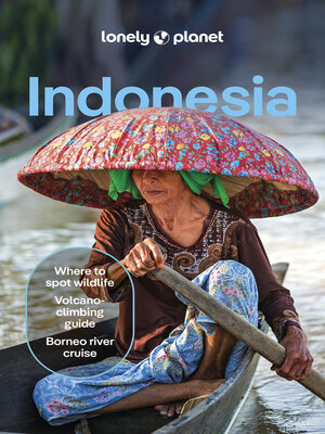 cover image of Lonely Planet Indonesia